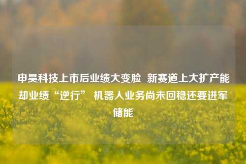 申昊科技上市后业绩大变脸  新赛道上大扩产能却业绩“逆行” 机器人业务尚未回稳还要进军储能