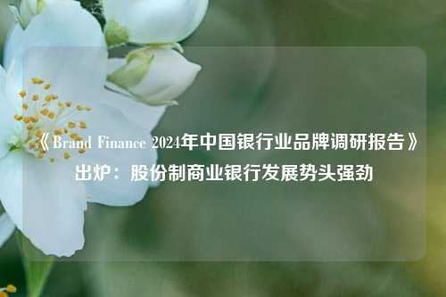 《Brand Finance 2024年中国银行业品牌调研报告》出炉：股份制商业银行发展势头强劲