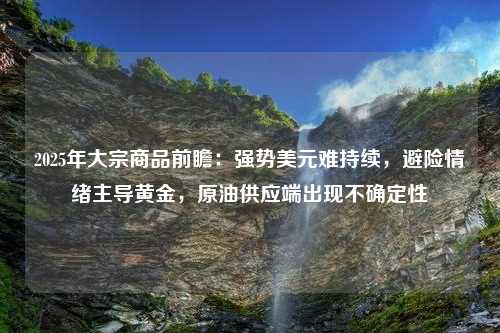 2025年大宗商品前瞻：强势美元难持续，避险情绪主导黄金，原油供应端出现不确定性