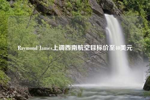 Raymond James上调西南航空目标价至40美元