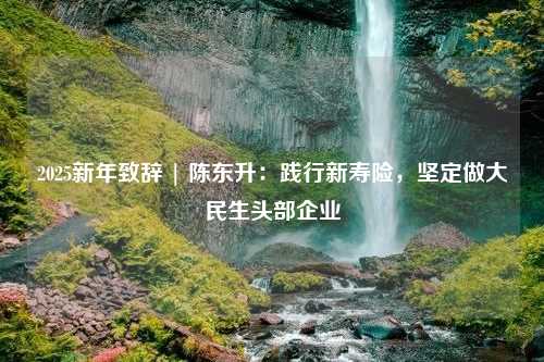 2025新年致辞 | 陈东升：践行新寿险，坚定做大民生头部企业