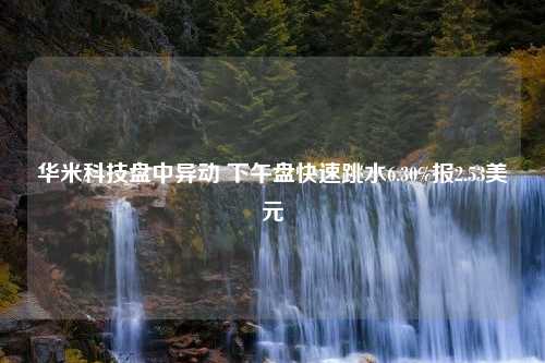 华米科技盘中异动 下午盘快速跳水6.30%报2.53美元