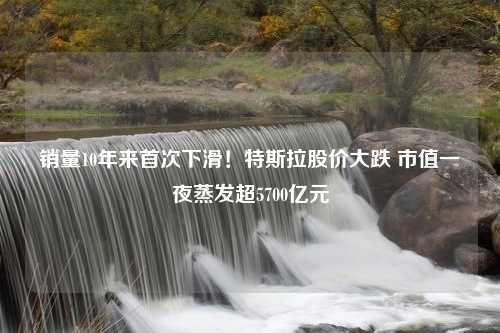 销量10年来首次下滑！特斯拉股价大跌 市值一夜蒸发超5700亿元