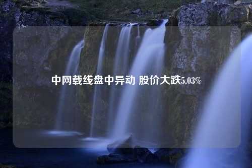 中网载线盘中异动 股价大跌5.03%