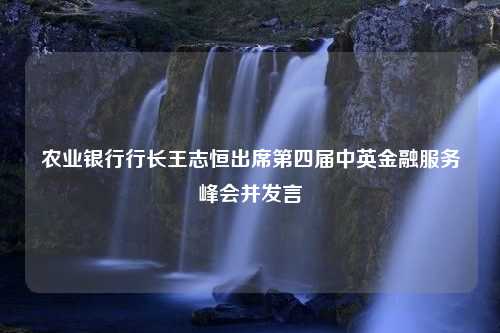 农业银行行长王志恒出席第四届中英金融服务峰会并发言