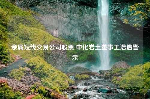 亲属短线交易公司股票 中化岩土董事王浩遭警示