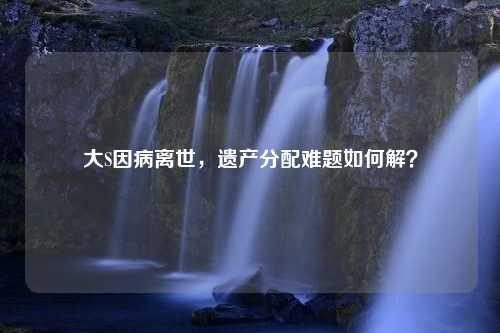 大S因病离世，遗产分配难题如何解？