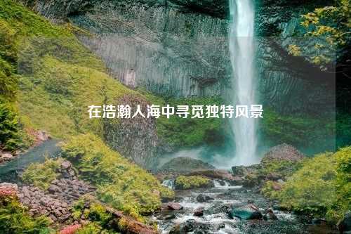 在浩瀚人海中寻觅独特风景