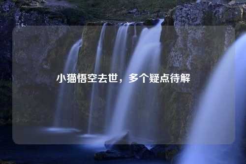 小猫悟空去世，多个疑点待解