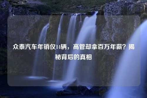 众泰汽车年销仅14辆，高管却拿百万年薪？揭秘背后的真相