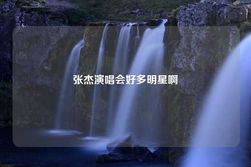 张杰演唱会好多明星啊