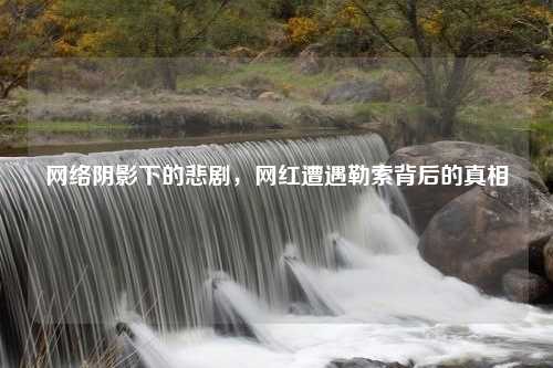 网络阴影下的悲剧，网红遭遇勒索背后的真相