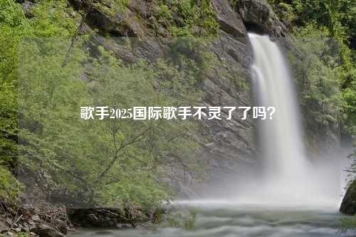 歌手2025国际歌手不灵了了吗？