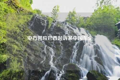 中方回应巴西起诉某中国车企